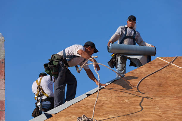 Best Local Roofing Companies  in Ridgecrest, FL