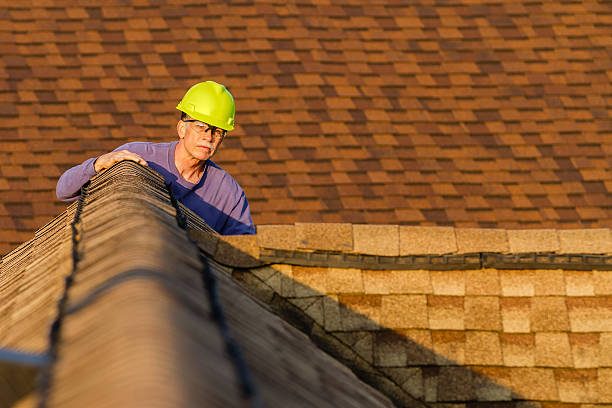 Best Roof Gutter Cleaning  in Ridgecrest, FL